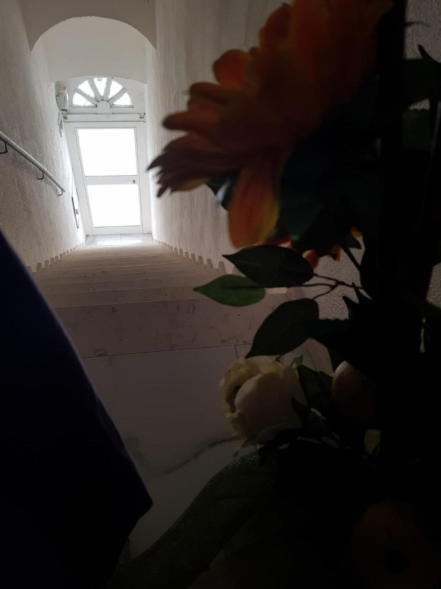 Di Fronzo Guest House T Triggiano Eksteriør billede